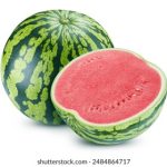 国产av女神在线 te5aj