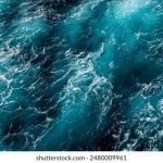 双女杯:激烈对决与精彩瞬间的女子篮球盛宴 0qmchmrj