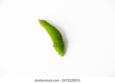 ovcnf6